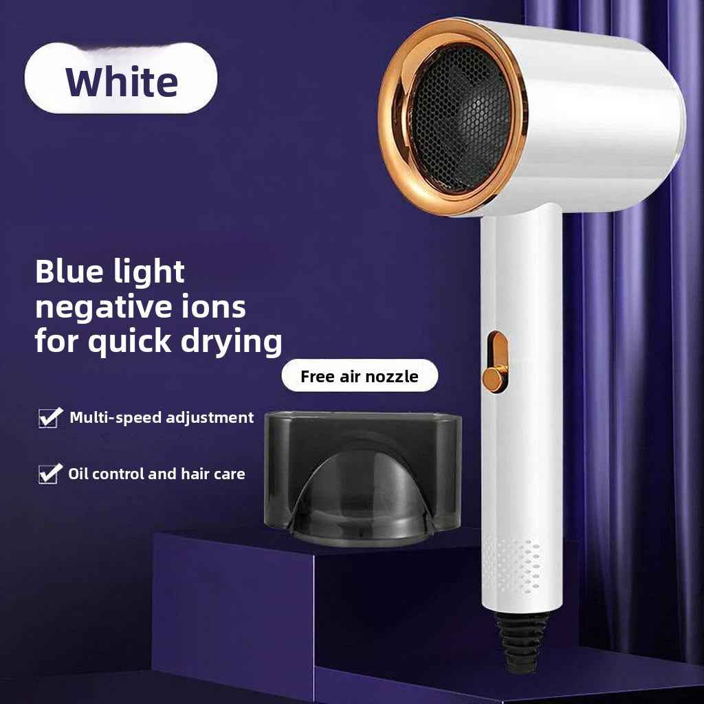 Professional Hair Dryer with Negative Iron Technology