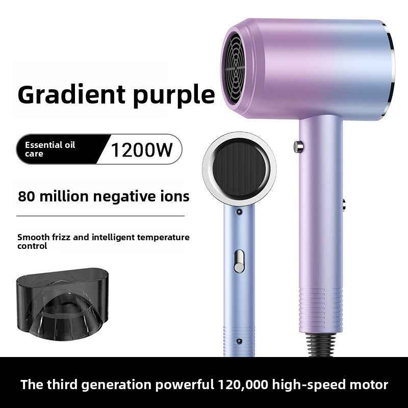 Professional Hair Dryer with Negative Iron Technology