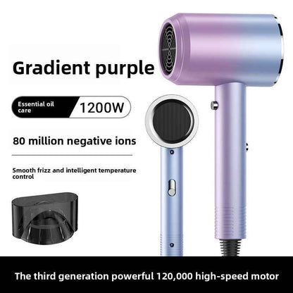 Professional Hair Dryer with Negative Iron Technology