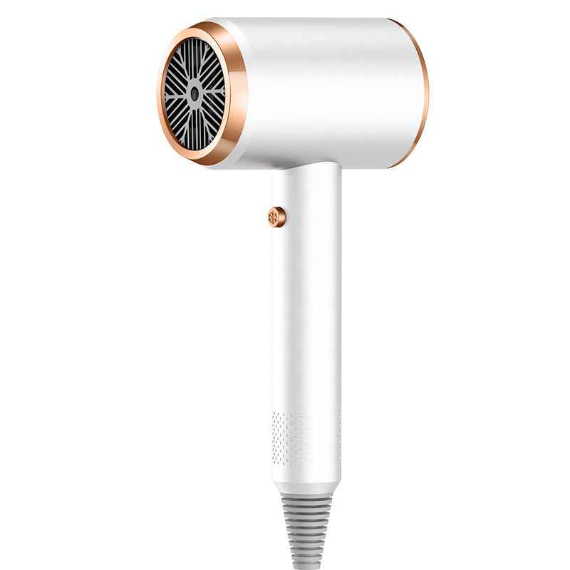 Professional Hair Dryer with Negative Iron Technology