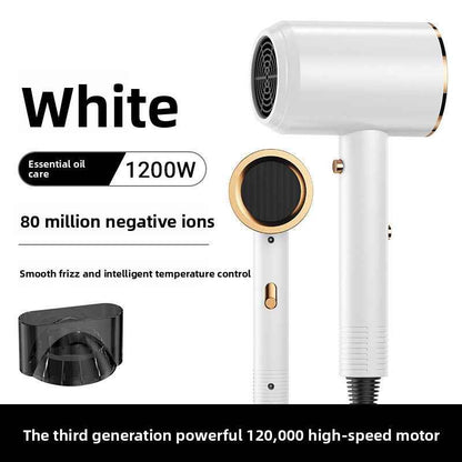 Professional Hair Dryer with Negative Iron Technology